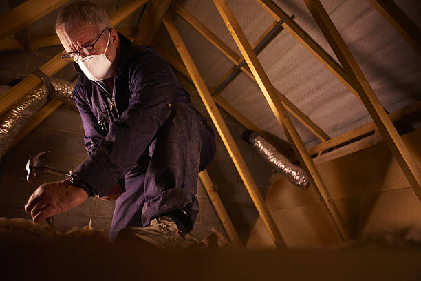 Best DIY Insulation Kits and Guidance in Nyssa, OR
